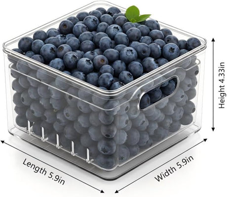 Square Fruit Washing and Storage Container Set