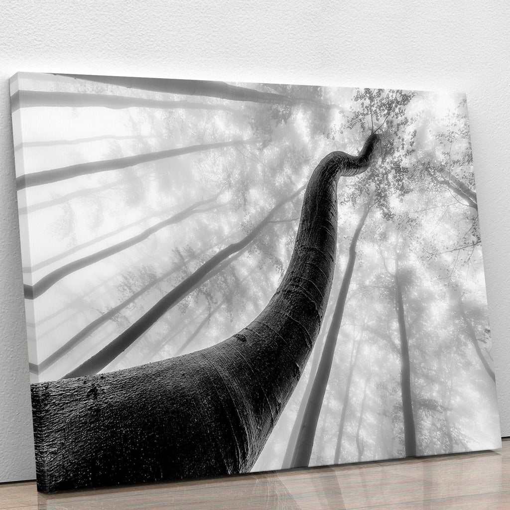 Tree Shapes Nature-Inspired Wall Art