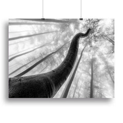 Tree Shapes Nature-Inspired Wall Art