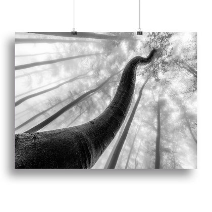 Tree Shapes Nature-Inspired Wall Art