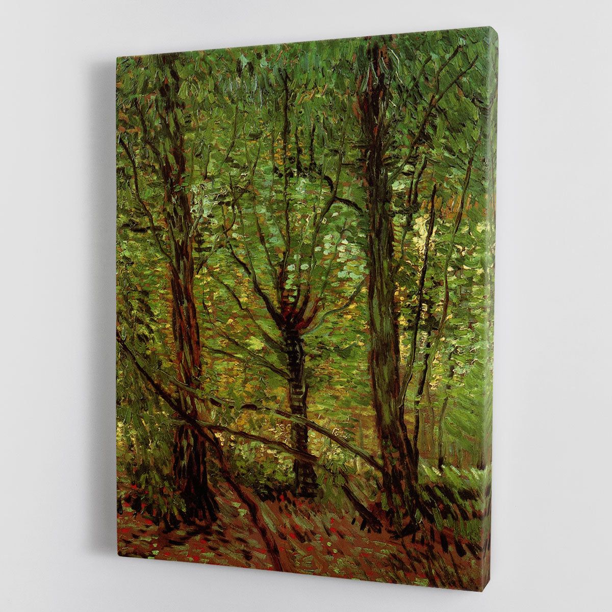 Van Gogh Trees and Undergrowth Wall Art