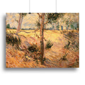Van Gogh Trees in a Field Wall Art