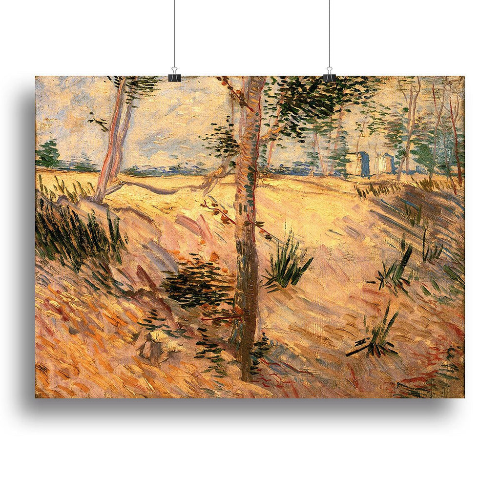 Van Gogh Trees in a Field Wall Art