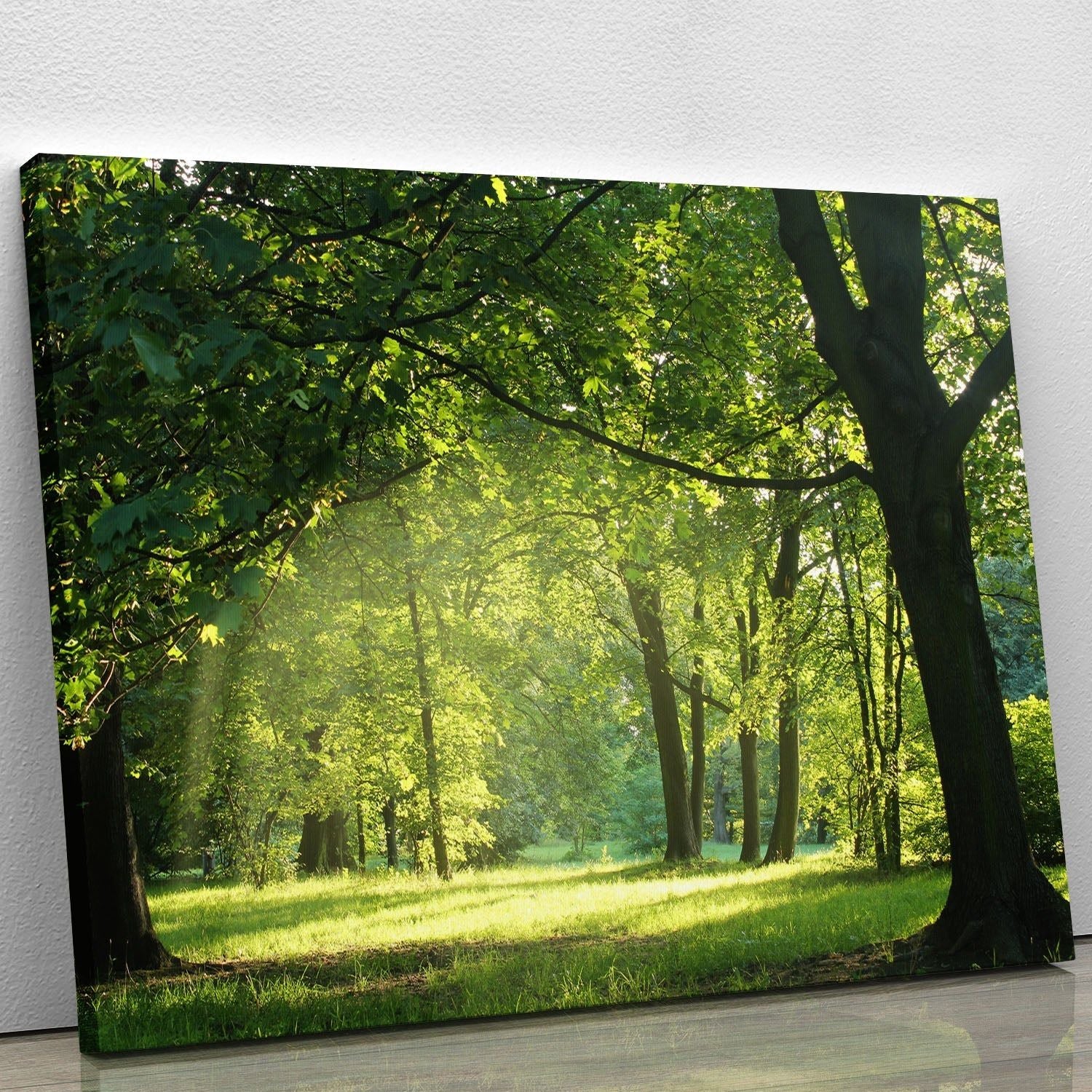 trees in a summer forest Canvas Print or Poster
