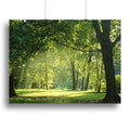 trees in a summer forest Canvas Print or Poster - 24" x 16" / 60cm x 40cm (approx) / Standard Framed Canvas Print