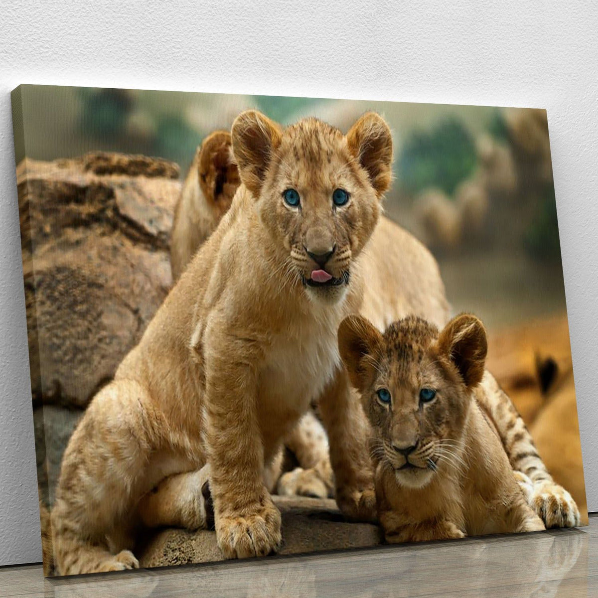 Two Little Lion Cubs Art Print or Poster