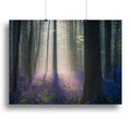 Stunning Canvas Prints & Posters for Every Decor - 24" x 16" / 60cm x 40cm (approx) / Standard Framed Canvas Print