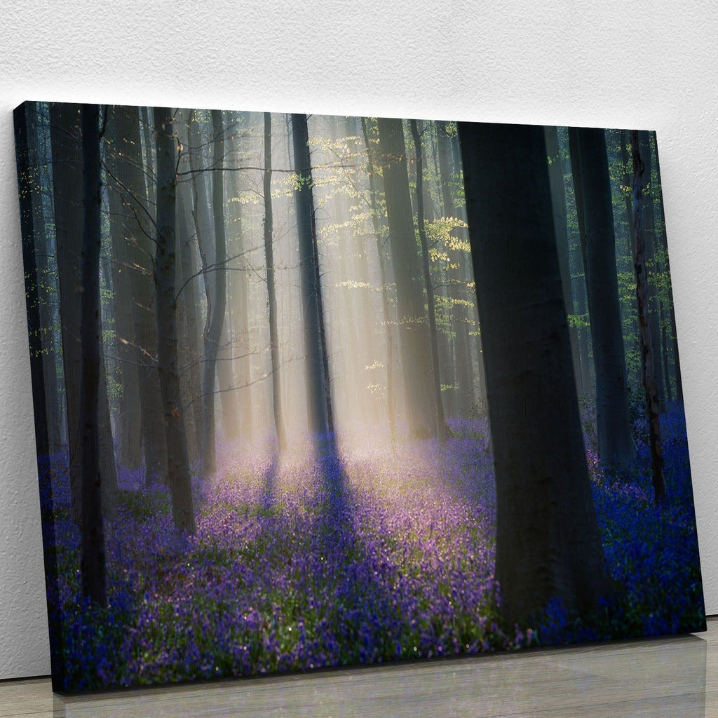 Stunning Canvas Prints & Posters for Every Decor