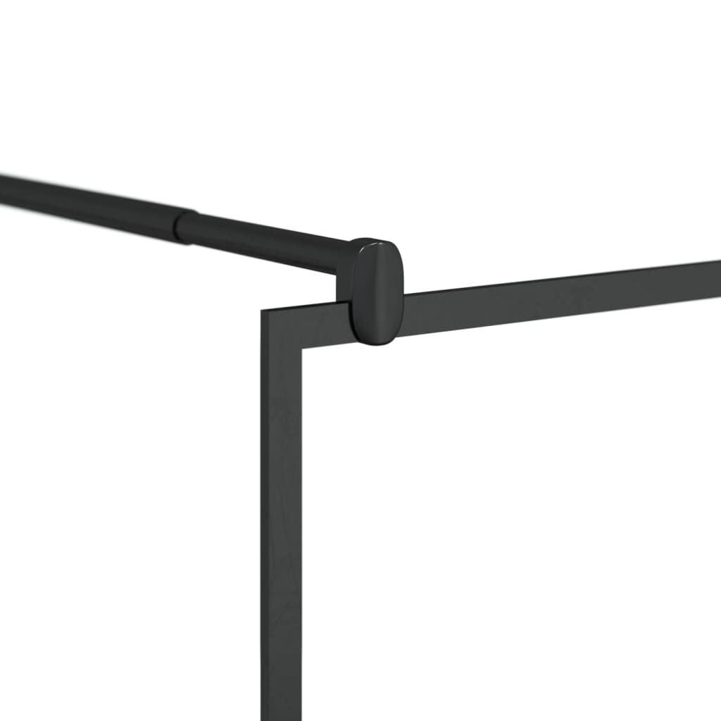Modern Clear Walk-In Shower Wall with Black Detailing