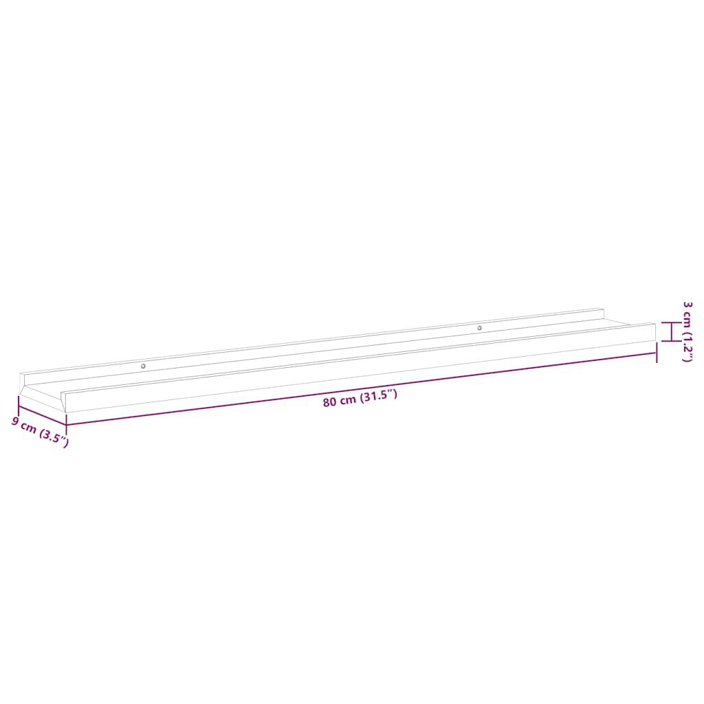 Modern Black Wall Shelf Set for Displays and Storage