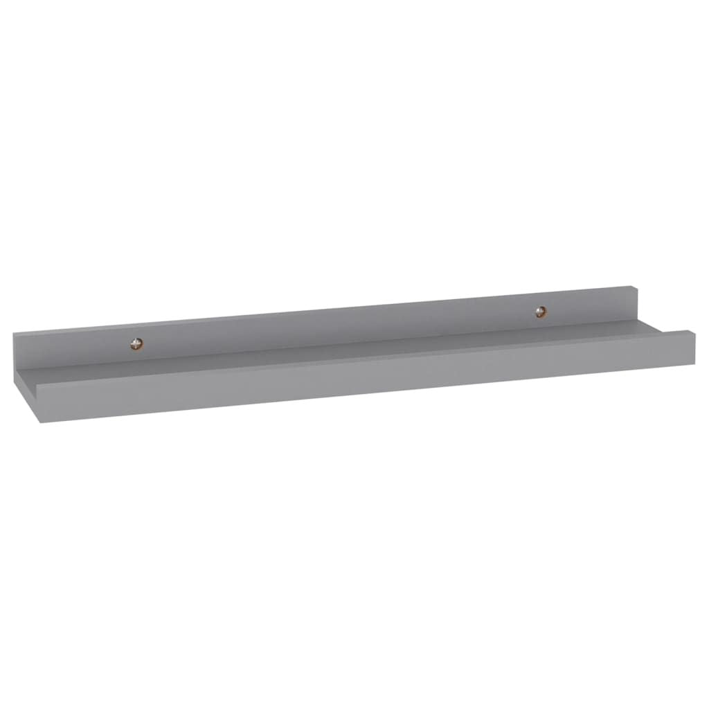 Modern Gray Wall Shelves for Books and Decorative Displays