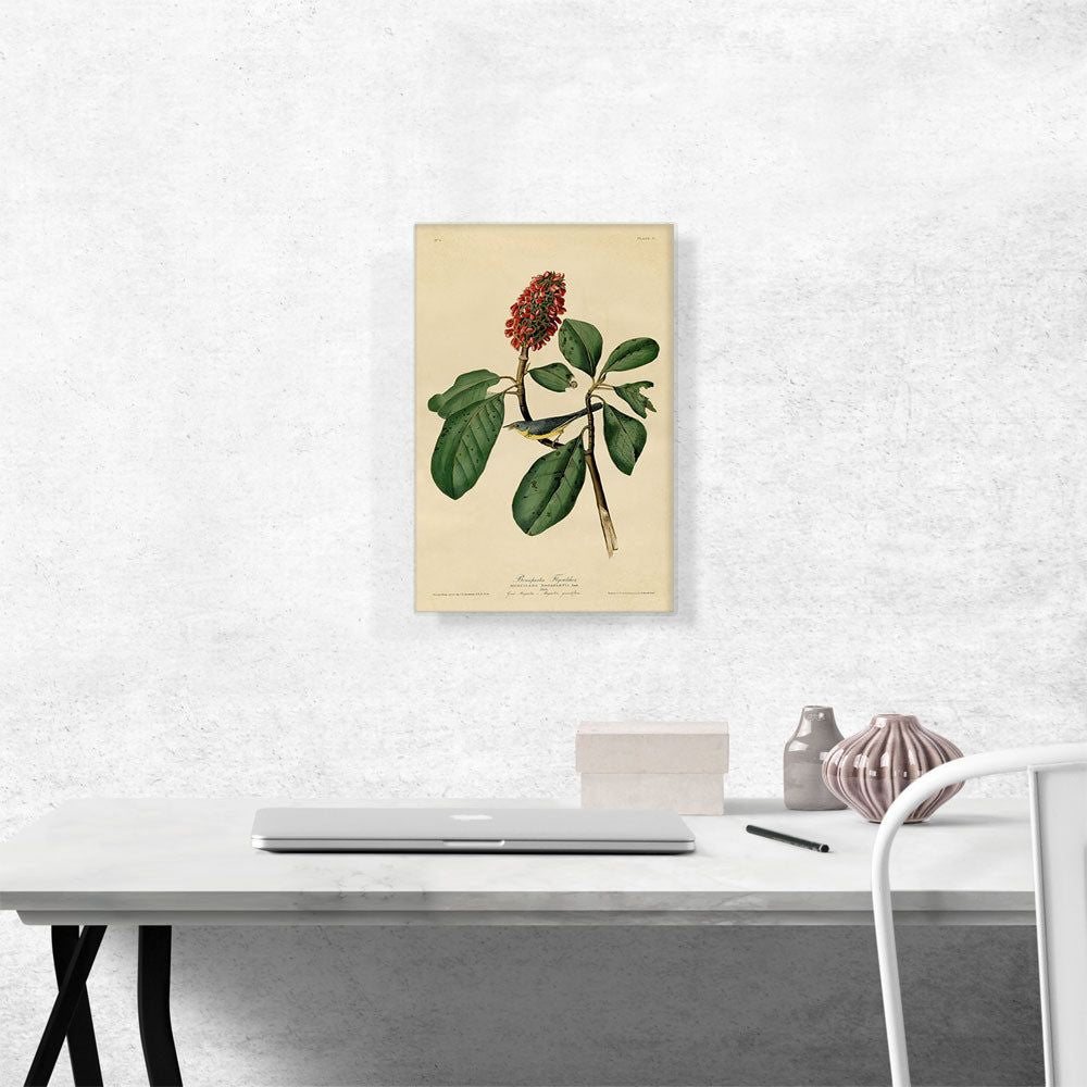 Warbler Bird on a Magnolia Branch – Premium Canvas Wall Art