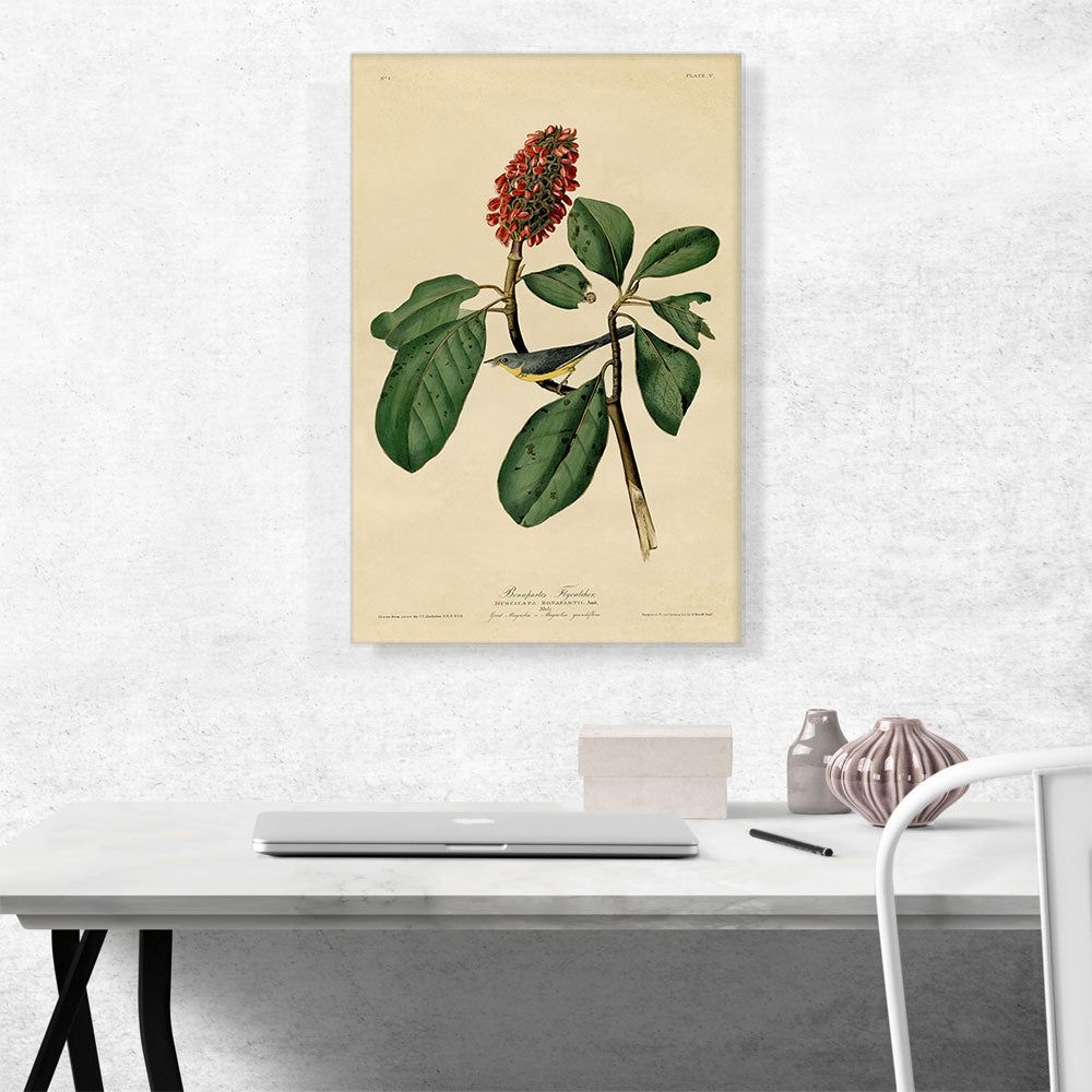 Warbler Bird on a Magnolia Branch – Premium Canvas Wall Art