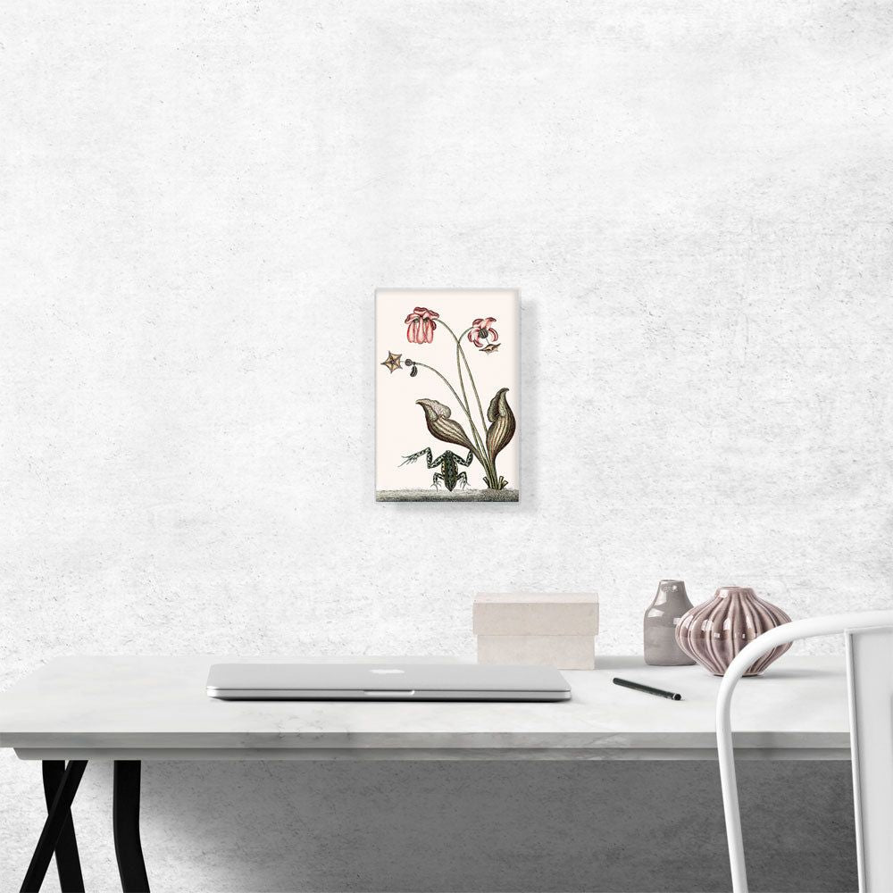 Premium Canvas Wall Art – Vibrant, Timeless Decor for Any Room