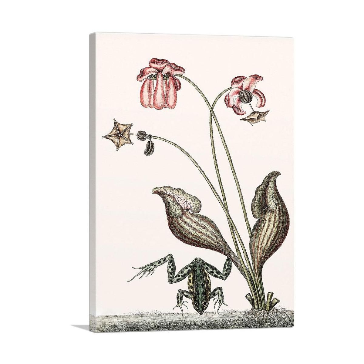 Premium Canvas Wall Art – Vibrant, Timeless Decor for Any Room - 40" x 26" / 100cm x 65cm (approx) / Standard Framed Canvas Print