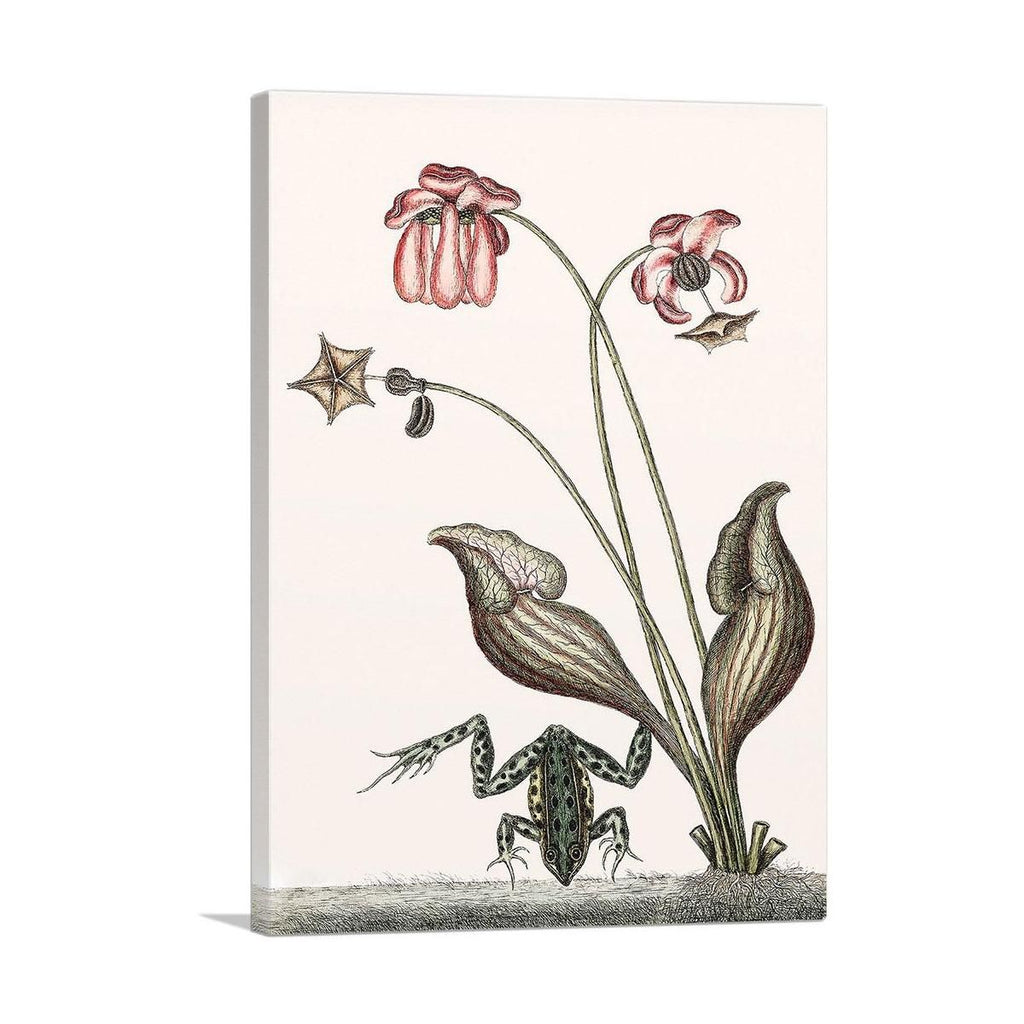 Premium Canvas Wall Art – Vibrant, Timeless Decor for Any Room