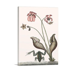 Premium Canvas Wall Art – Vibrant, Timeless Decor for Any Room