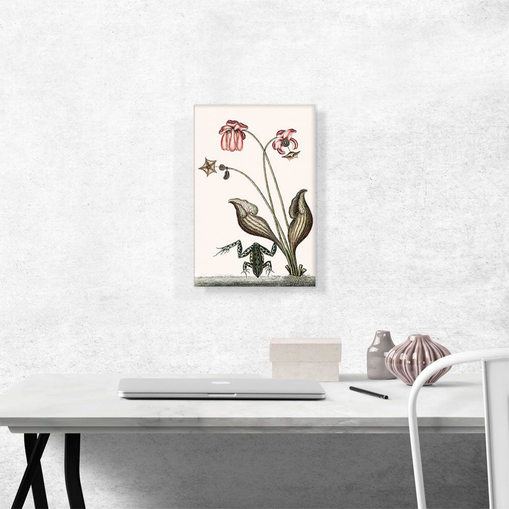 Premium Canvas Wall Art – Vibrant, Timeless Decor for Any Room