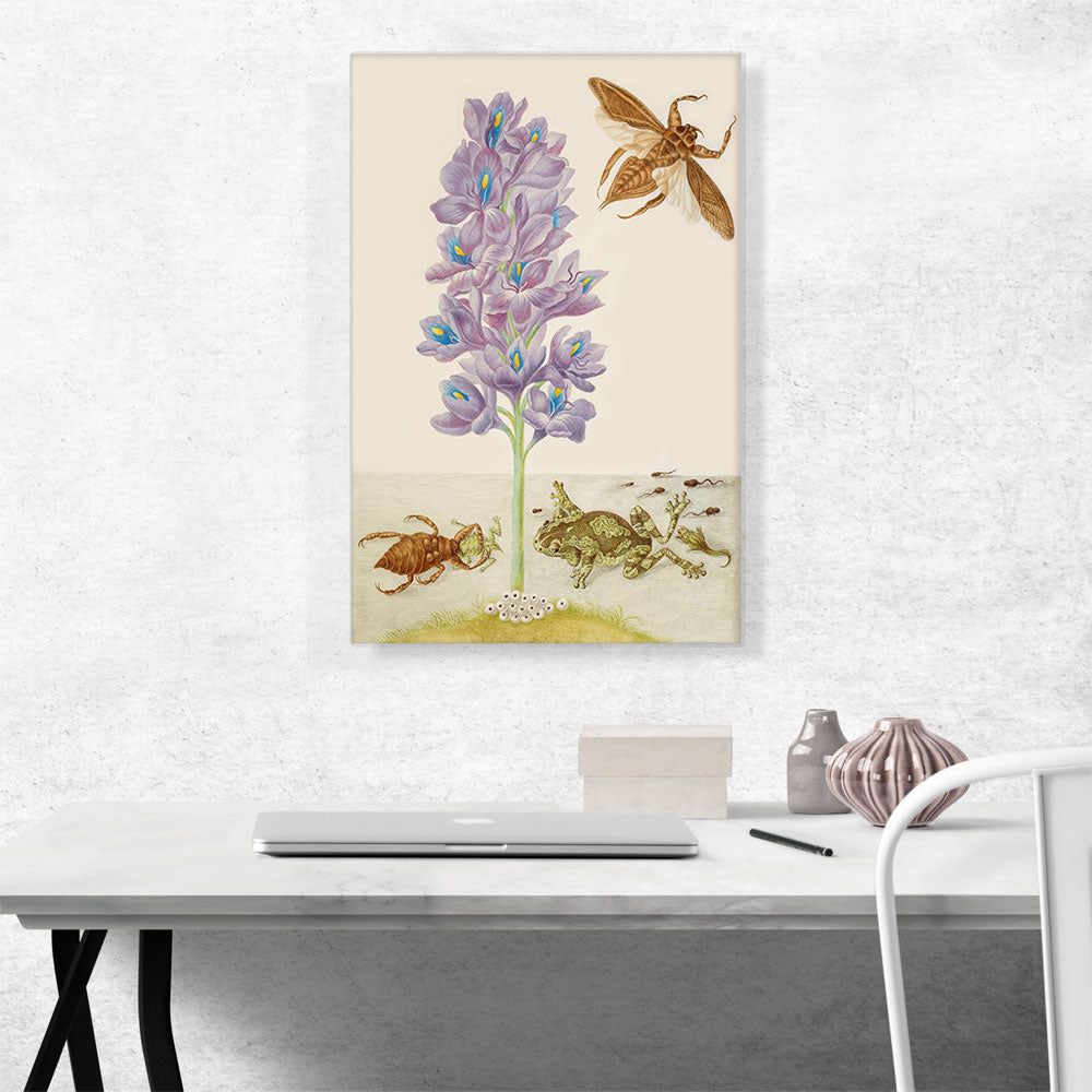 Water Hyacinth Marbled Tree Frogs Giant Water Bugs Canvas Wall Art