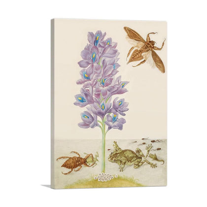 Water Hyacinth Marbled Tree Frogs Giant Water Bugs Canvas Wall Art