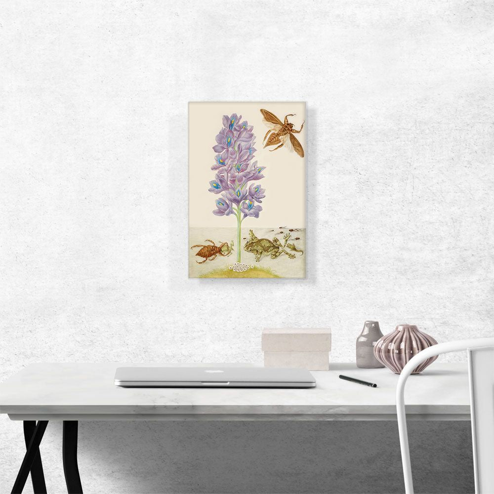 Water Hyacinth Marbled Tree Frogs Giant Water Bugs Canvas Wall Art
