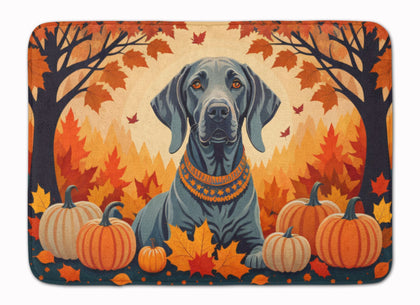 Cushioned Kitchen Mat with Machine-Washable Design and Artistic Flair