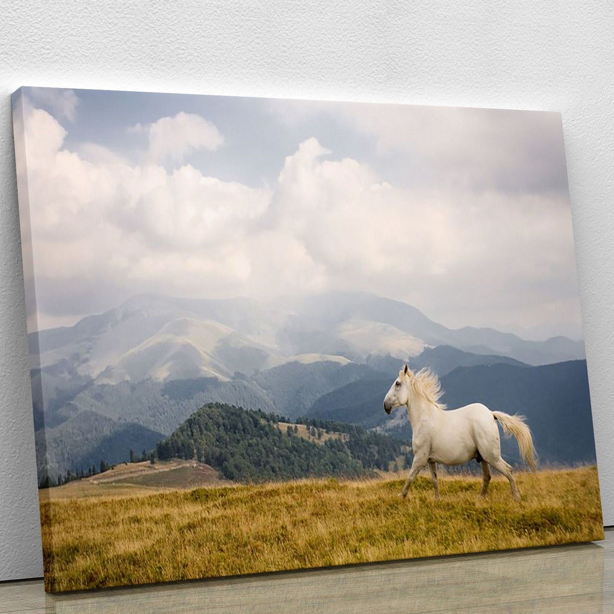 White Horse Wall Art with a Striking Nature-Inspired Focus