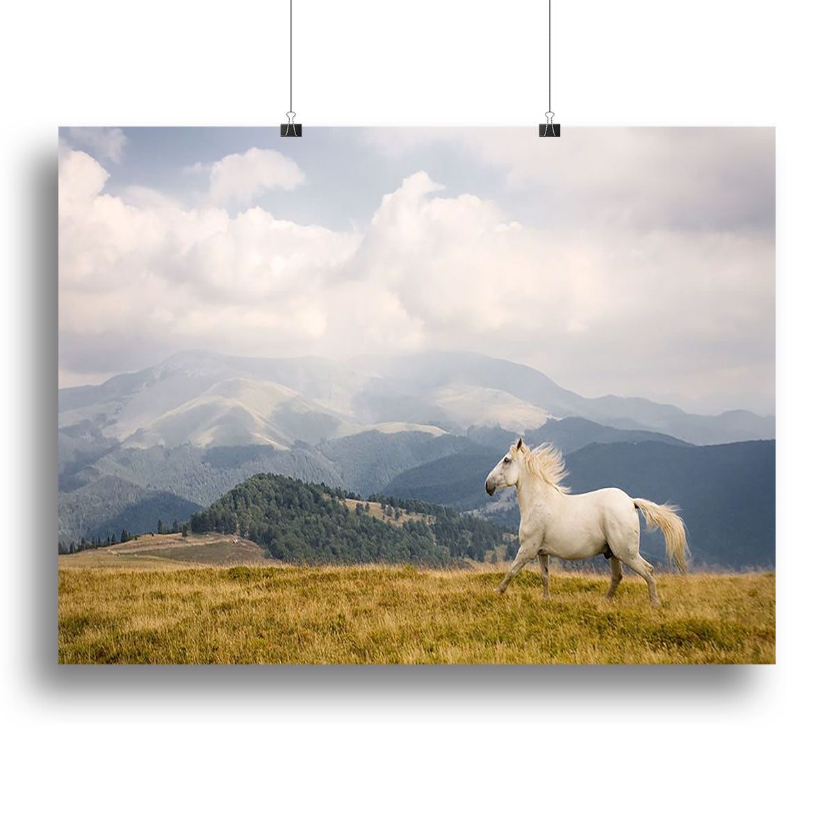 White Horse Wall Art with a Striking Nature-Inspired Focus