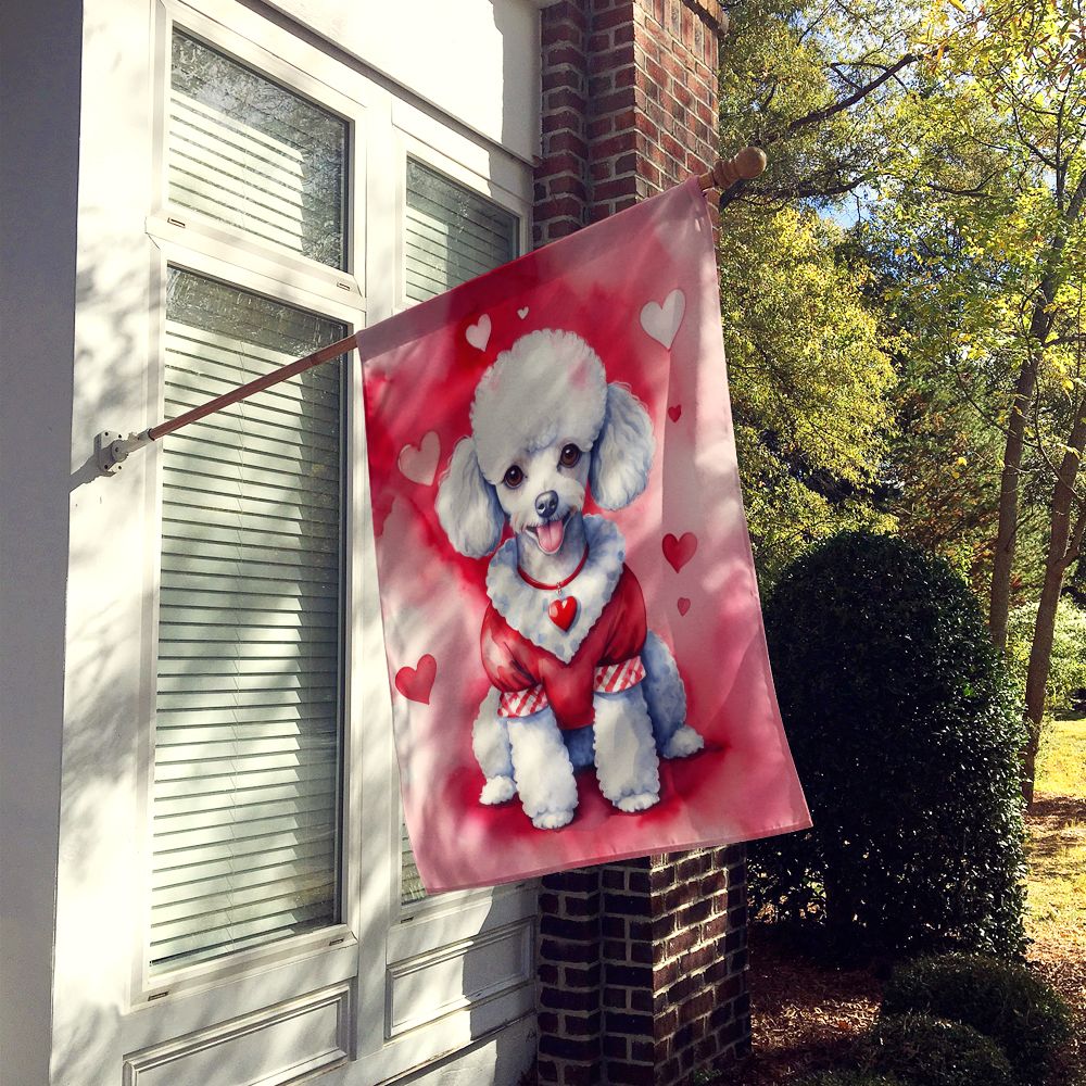 Large Double-Sided Decorative House Flag for Outdoor Display