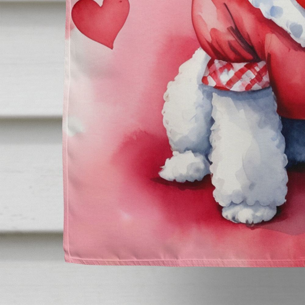 Large Double-Sided Decorative House Flag for Outdoor Display