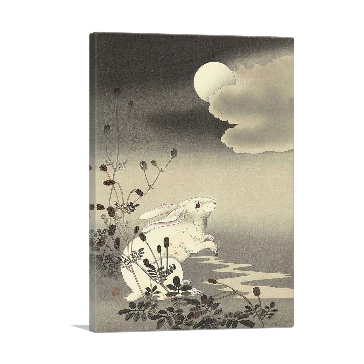 White Rabbit Wall Art with Detailed Character