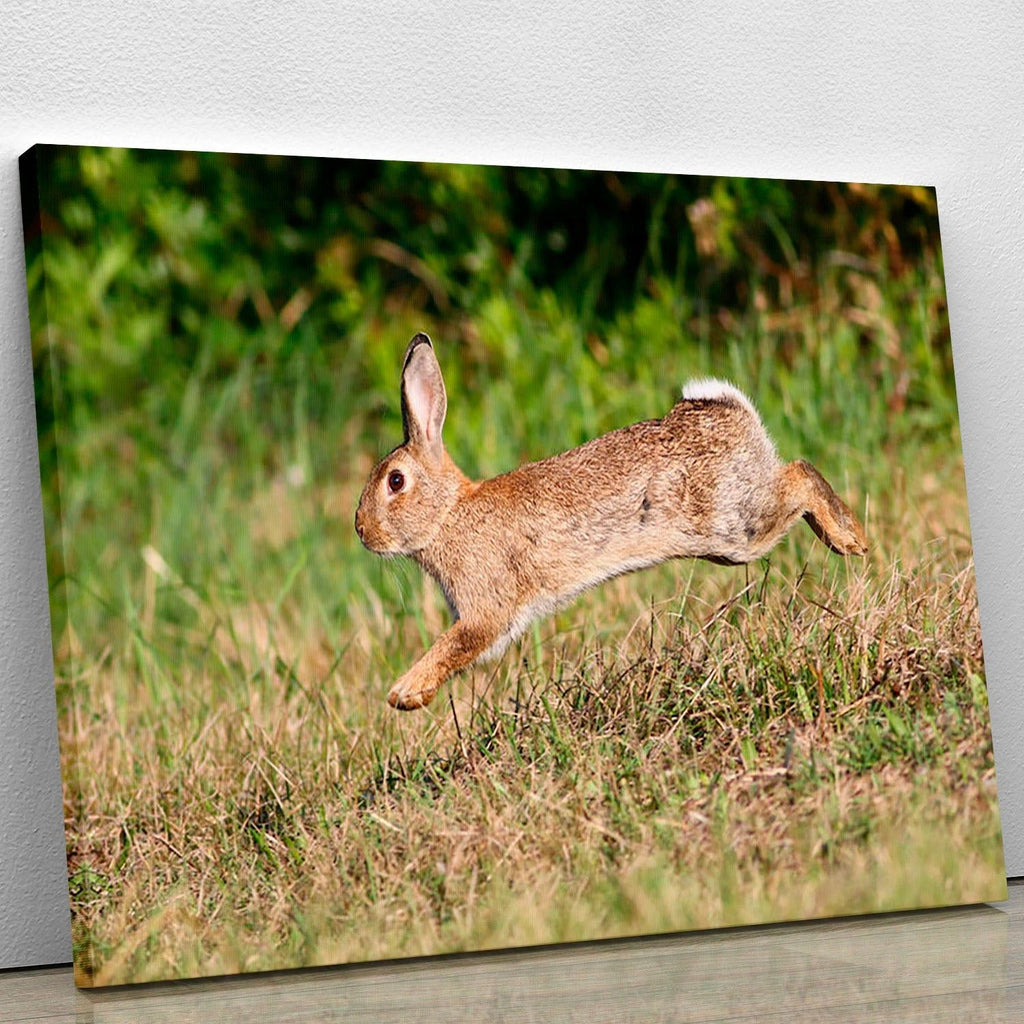 Wild Rabbit Canvas Print – Nature Wall Art for Home Decor