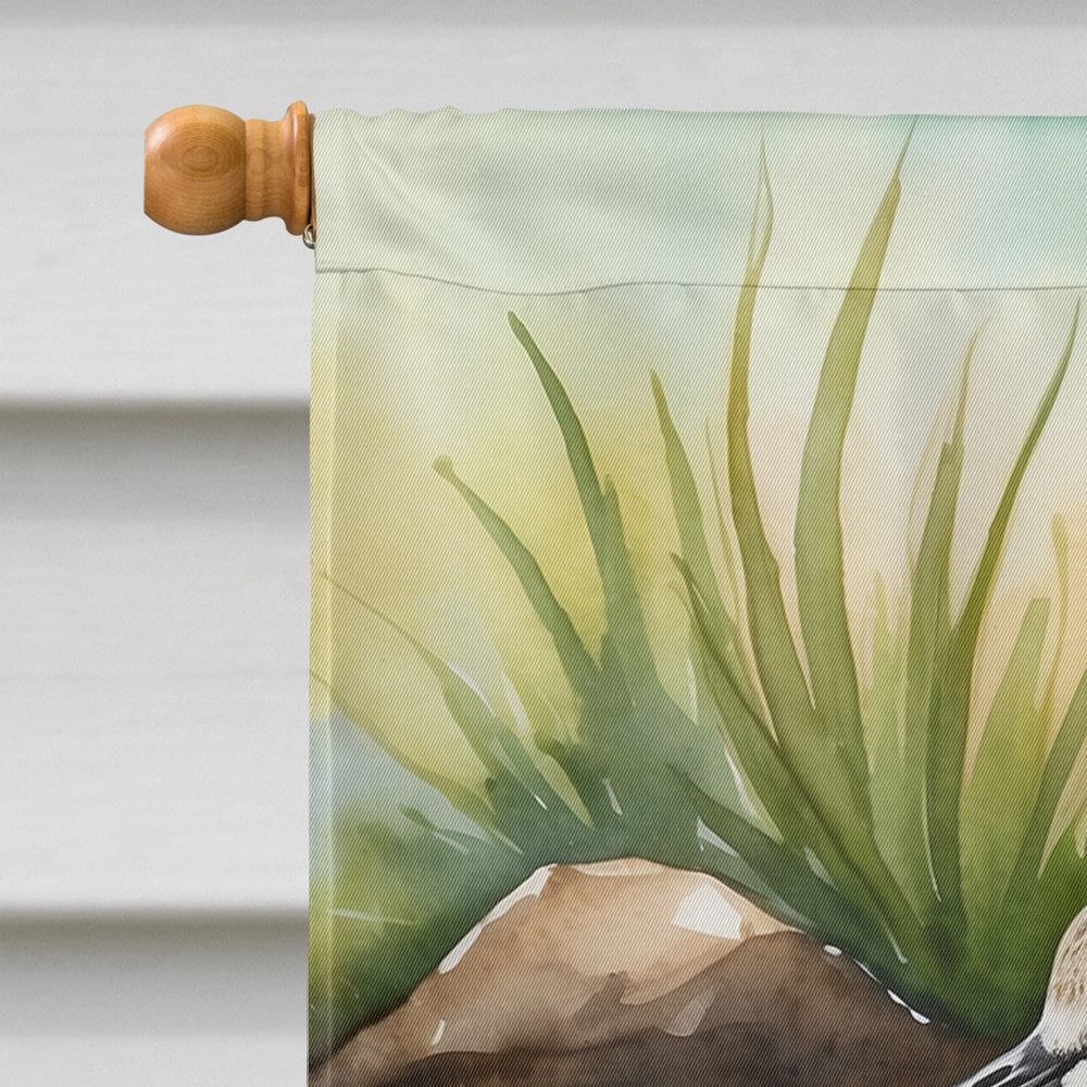 Willet Bird Double-Sided House Flag