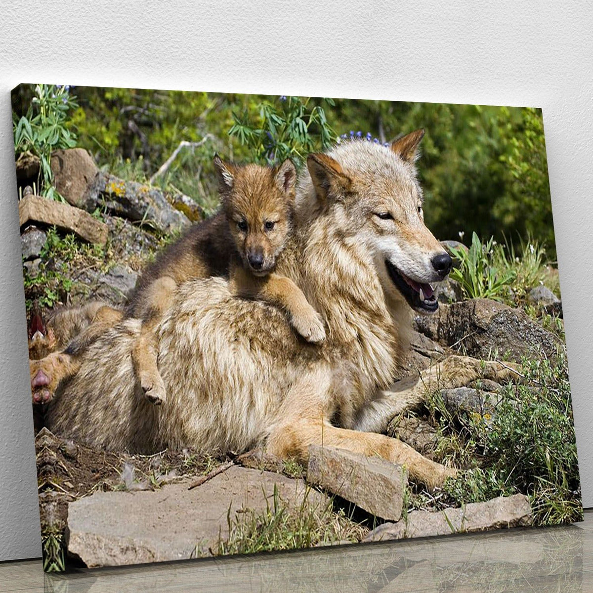 Wolf Mother and Cubs at the Den Wall Art