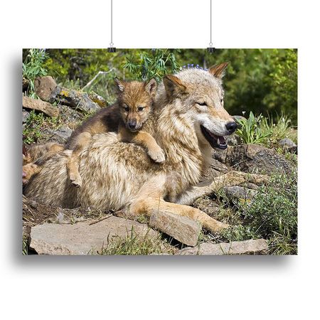 Wolf Mother and Cubs at the Den Wall Art