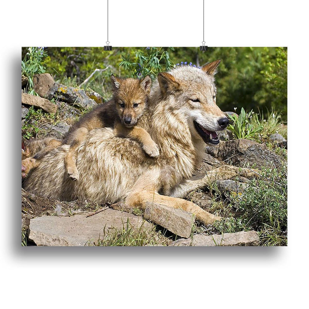 Wolf Mother and Cubs at the Den Wall Art