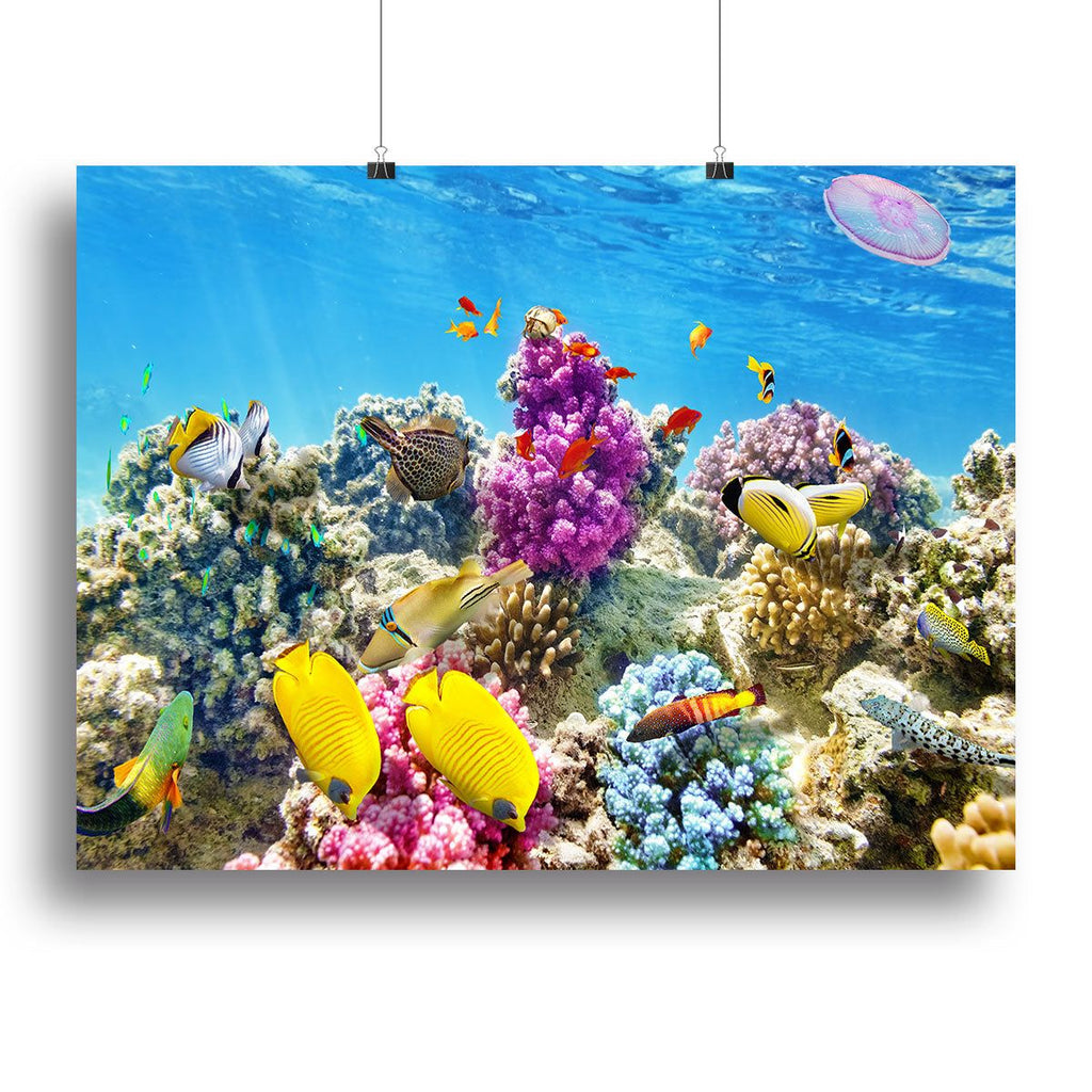 Underwater Canvas Print – Stunning Ocean Wall Art for Home Decor