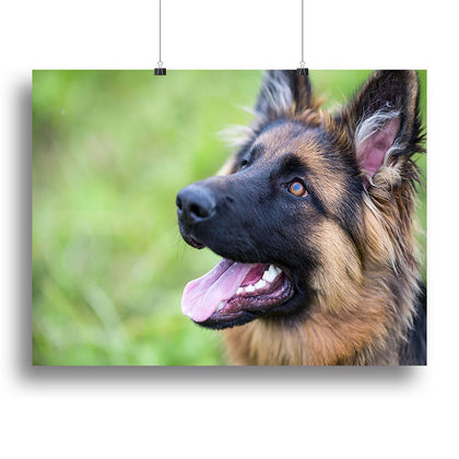 Stunning Canvas Prints and Posters for Every Space